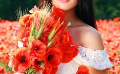 国产亚洲精品久久久久的角色